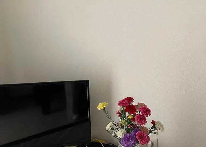 Flat Ani * Golem (Tirana)